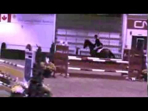 Unexpected Spruce Meadows