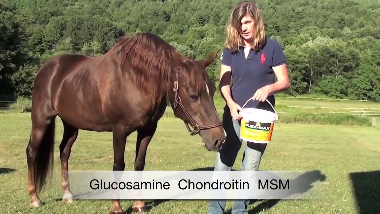 Absorbine - Flex+ Max Mobility Supplement