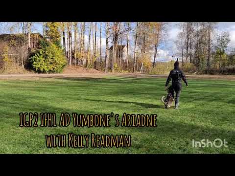 IGP2 IFH1 AD Yumbone's Ariadne, training with Kelly Readman