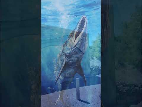 Berlin ghost town and the ichthyosaur fossils of central Nevada