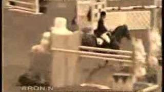 Were not alone - Son of Dork (horses)