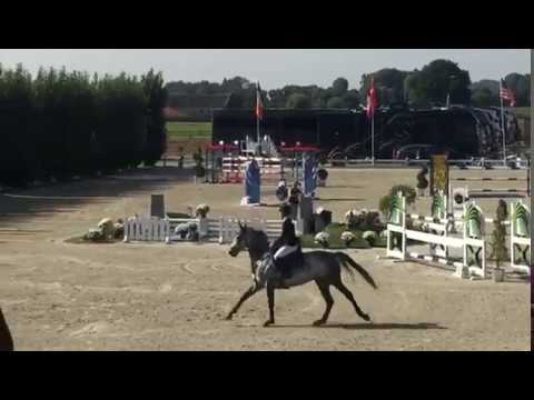 Mama Mia Picobello Z CSI 2* 130 Jump Off Moorsele