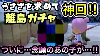 【神回】うさぎを求めて離島ガチャ！ついに…ついにあの子が…！！！【あつ森】【離島ガチャ】
