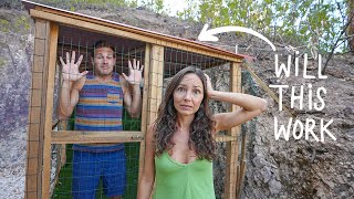 ADOPTING 3 OUTDOOR CATS: building a "CATIO" to help with re-homing