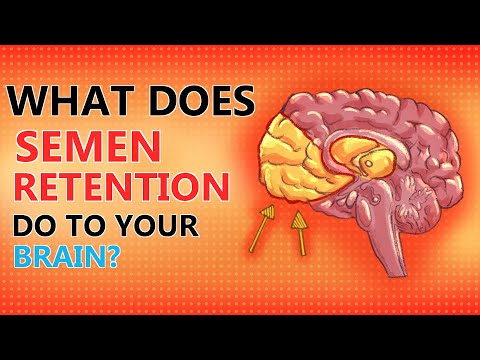 What Does Semen Retention REALLY Do To Your Brain?