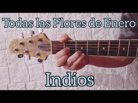 Todas Las Flores De Enero - Indios