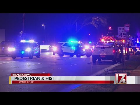 Man, dog die after being hit by car while crossing road in Raleigh, police say