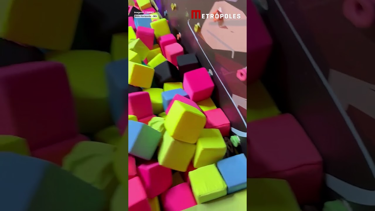 Bombeiros resgatam gambá em parque infantil de BH