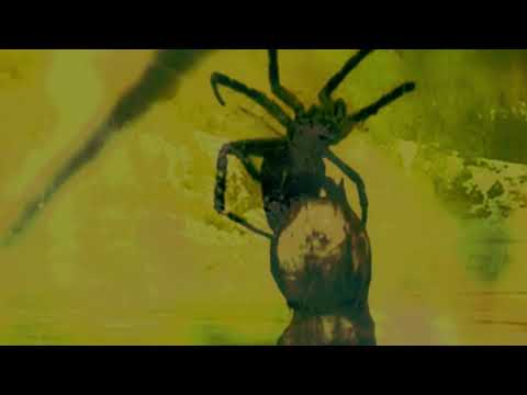 Barker & Baumecker - Statik [OSTGUTLP24]