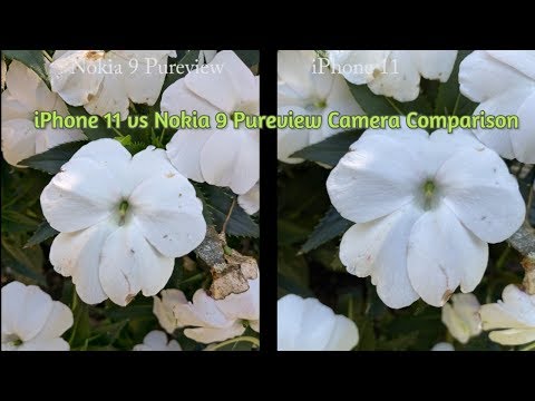iPhone 11 vs Nokia 9 Pureview Camera Comparison
