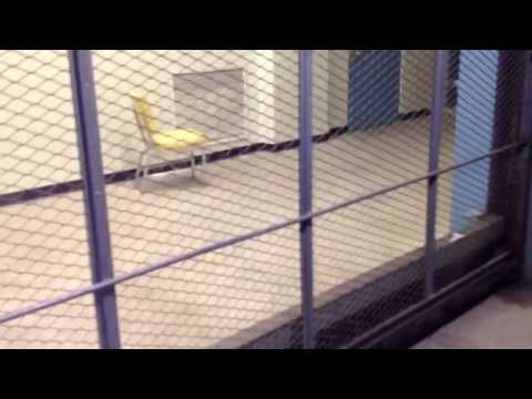 REVISIT: Dover 'Oildraulic' Traction Freight Elevator at the AT&T Building (Decatur)