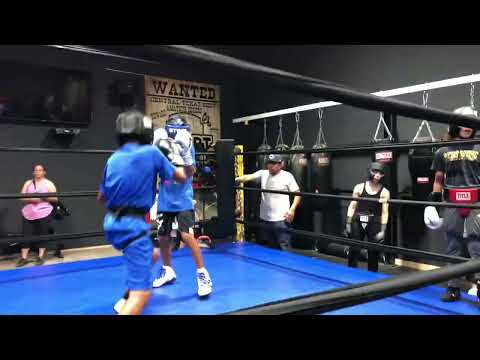 MBA boxing and Buffalo boxing sparring ( interesting game)