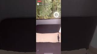 【TikTokライブ】大阪ミナミ