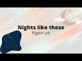 Nights Like These Pigeon Pit Lyric Video
