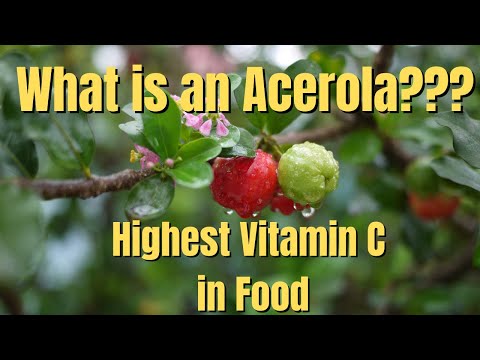 What is an Acerola? The Secret Food To Heal So Many Health Conditions - Back to the Basics Ep. 6