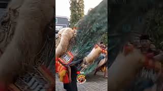 Download lagu Battle pembarong reog ponorogo adu skill #shorts #reyogponorogo mp3