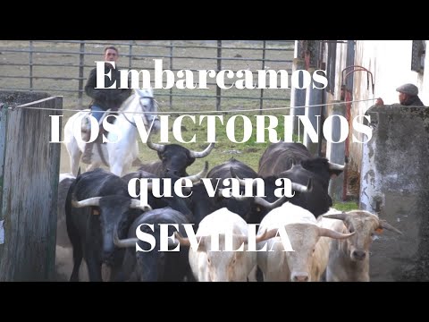 😍Embarcamos LOS VICTORINOS que van a ¡SEVILLA!