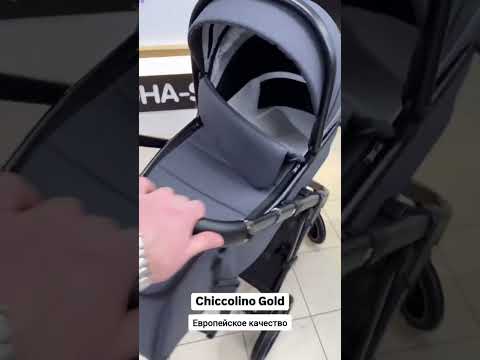 фото коляска chiccolino gold 3 в 1 0