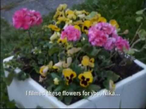 Flowers for Nika (^_^)