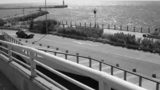 what a shame - belanova tamagoship