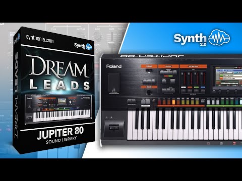 DVK005 - Dream Leads - Jupiter 80 - Video Preview 1