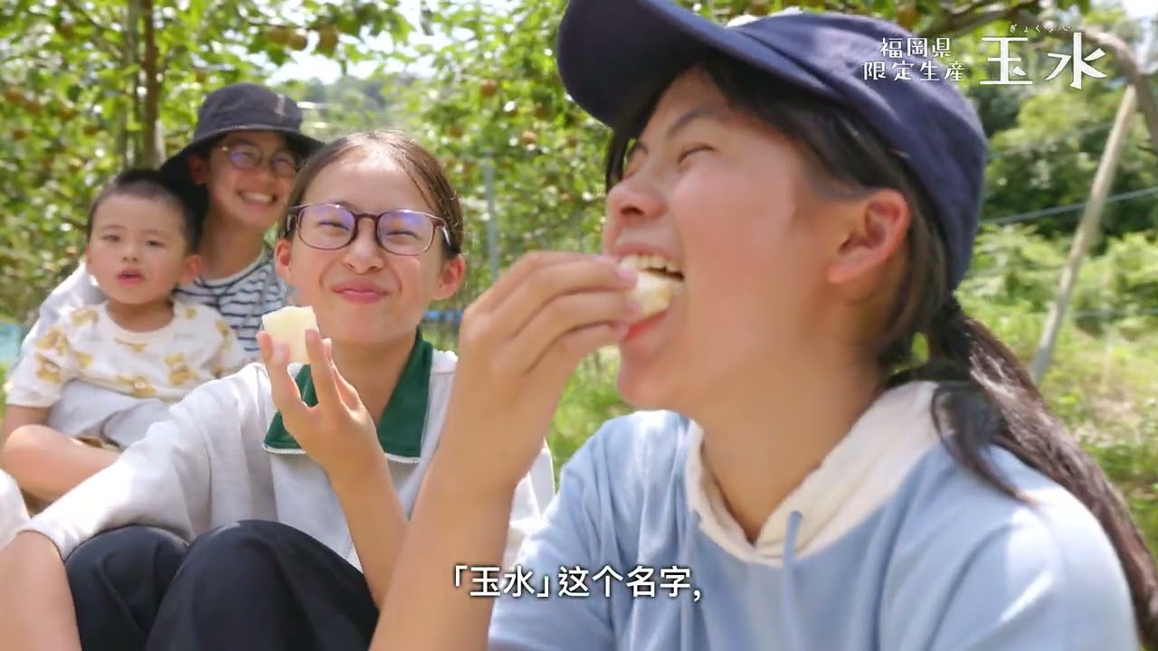 【福冈县限定生产】福冈县原创新品种梨“玉水”