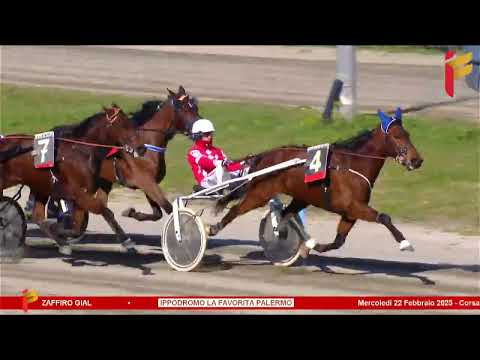 II corsa del 22 febbraio 2023 - 5 Anni ed oltre - Metri 1600 - Reclamare