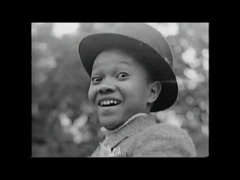 The Nicholas Brothers Documentary