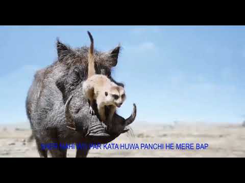 Aniket Sudhir Acharya lion king (dubbing practice)