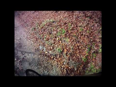 Sat Farasesti comuna Pietroasa Timiş