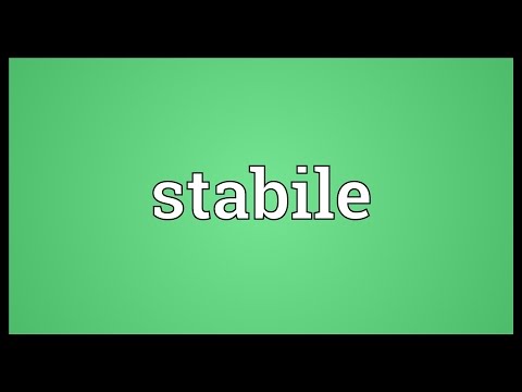 Stabile Meaning