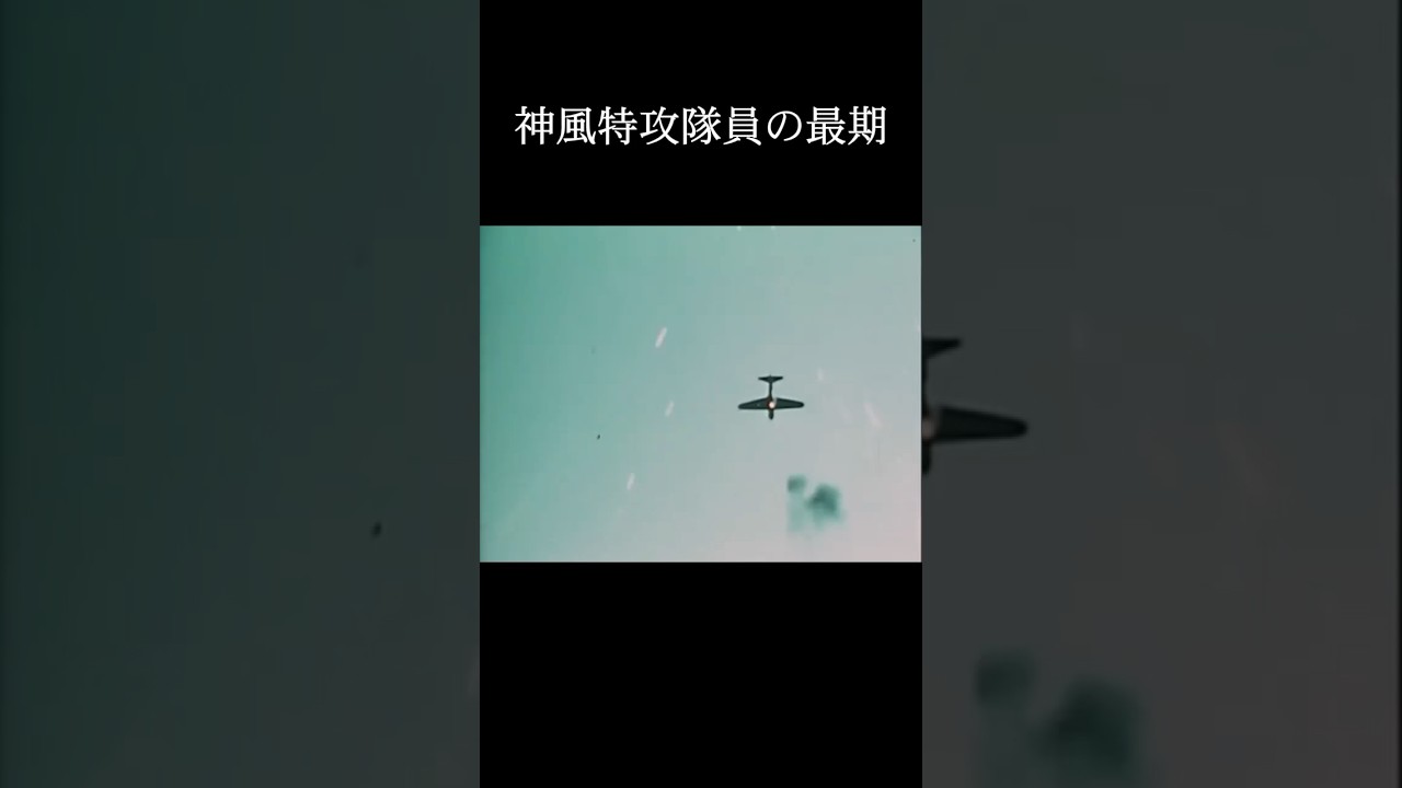 【キミガタメ】神風特別攻撃隊の実際の映像を集めました③#神風 #太平洋戦争 #神風特別攻撃隊 #戦争と平和 #shorts