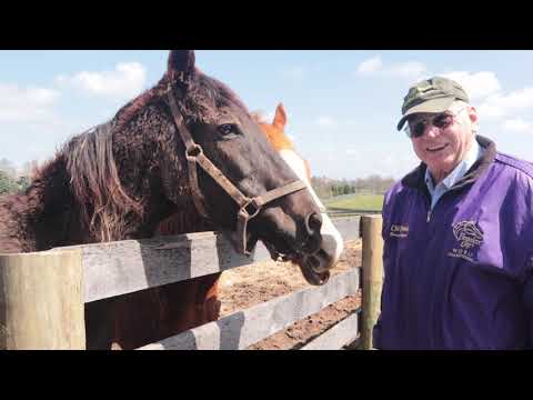 Old Friends Virtual Tour - Dinard and Archie's Echo