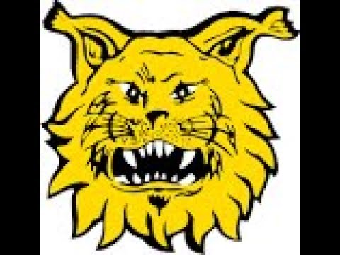 D13 TuNL/KaaPo 04 YJ - Ilves 04 ELL 30.9.17  2.jakso