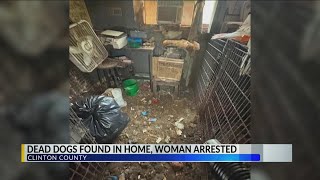 Law enforcement finds multiple dogs dead inside Clinton County home