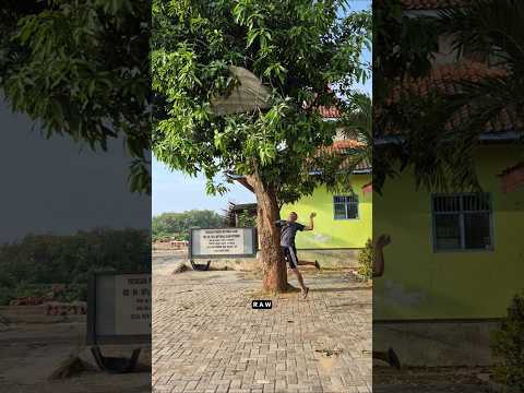 OMG 😱 speed fight with ferrets #fyp #hewan #explore #nature #shortvideo