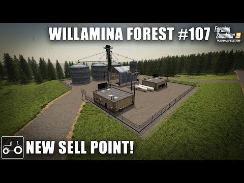 Building A New Grain Sell Point & Selling Pigs, Willamina Forest #107 Farming Simulator 19 Timelapse