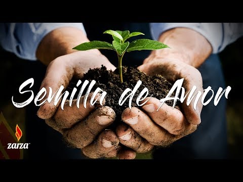 Obed Santana - Semilla de Amor [Full Album] | LLDM