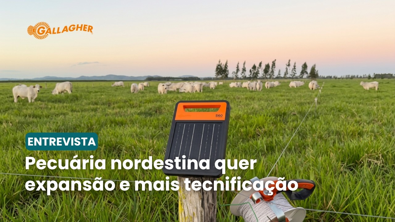 Pecuária avança no Nordeste e abre espaço para adoção de tecnologias de ponta