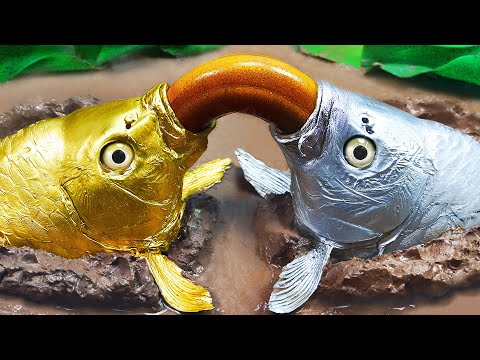 Stop Motion ASMR Golden Carp , Albino Fish Hunting Eels in the Ground  Underground | Adulterous Fish