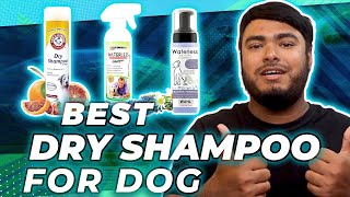 5 Best Dry Shampoos for Dogs in 2026 | Waterless Dog Shampoo