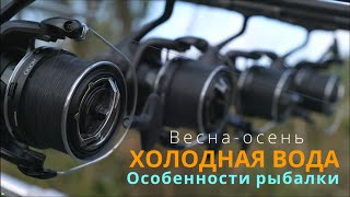 На что клюет карп в холодной воде