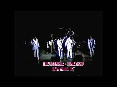 The Spaniels - "Goodnite Sweetheart, Goodnite"  Live - 1980