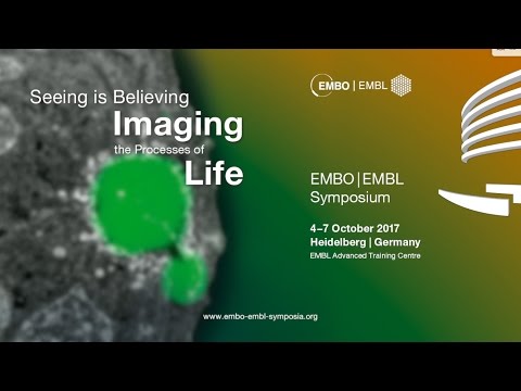EMBO | EMBL Symposium: Seeing is Believing – Imaging the Processes of Life