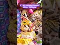 UJJAIN MAHAKALESHWAR JYOTIRLING PALKHI SARAHAN Devine Youtubeshort Subscribe