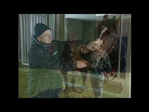 CHRHF 2011 Inductee - Robert Burgess