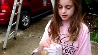 How to Keep an Egg from Breaking Project Egg Drop