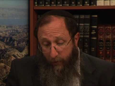 Weekly Torah Portion: Emor