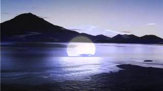 Pez Revolver-san francisco (version stone)