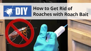 Roach Bait Treatment - How to Get Rid of Roaches | DoMyOwn.com